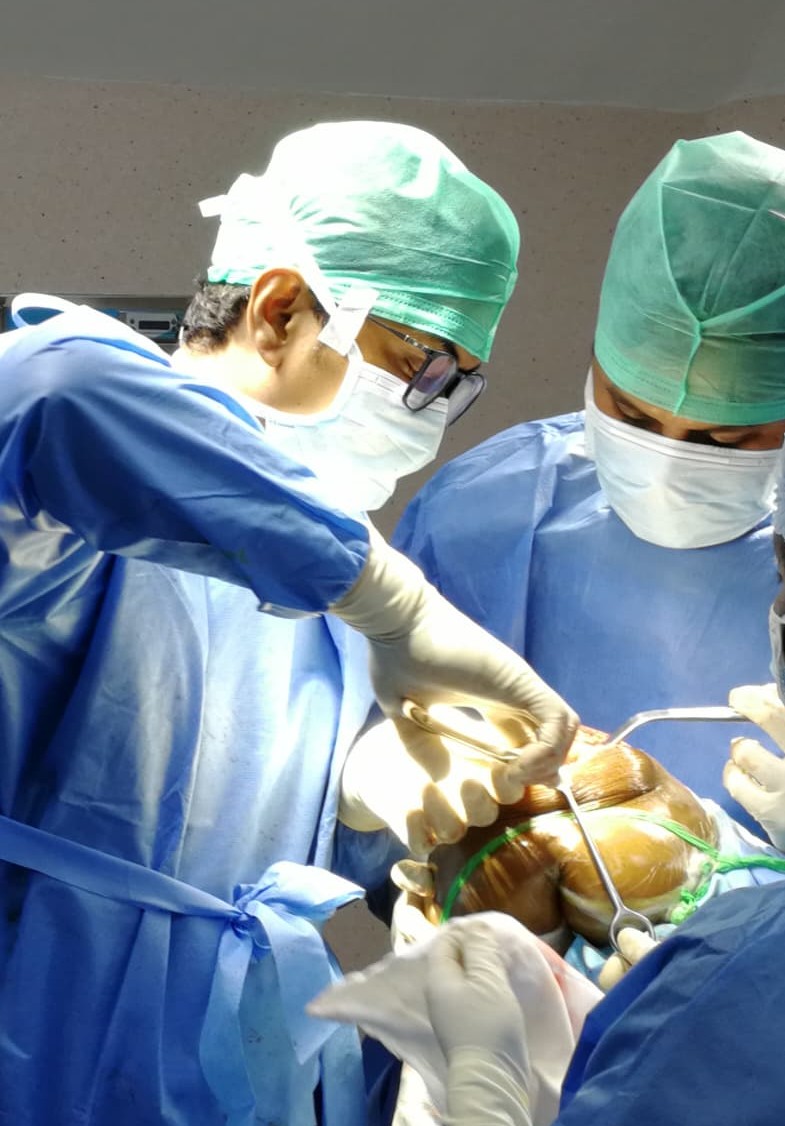 Clinical Presentation & Scientific Forum